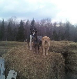 Meet your Posher, Michelle